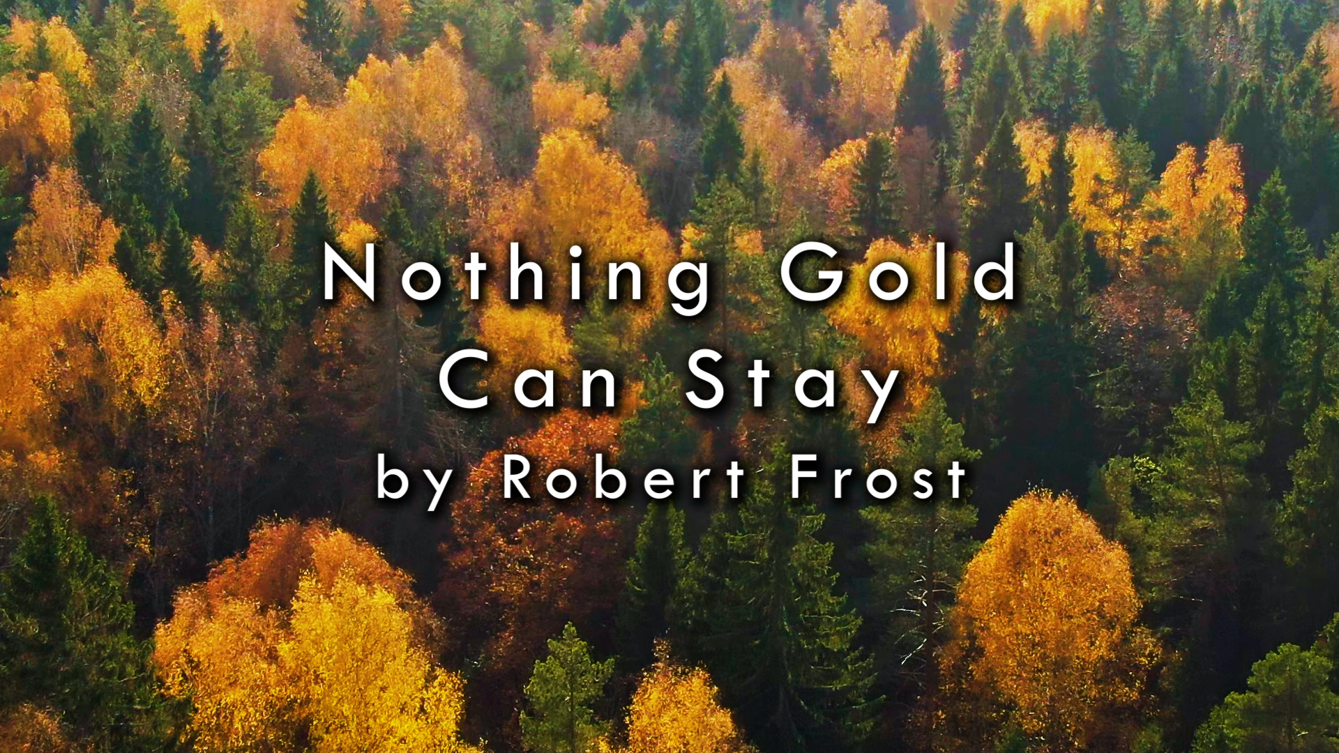 Nothing Gold Can Stay by Robert Frost, ready by Zack Lawrence