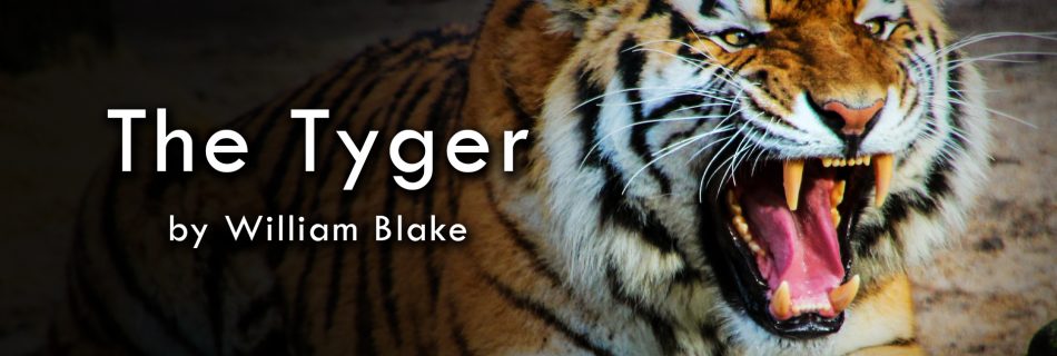 "The Tyger" by William Blake, read by Zack Lawrence