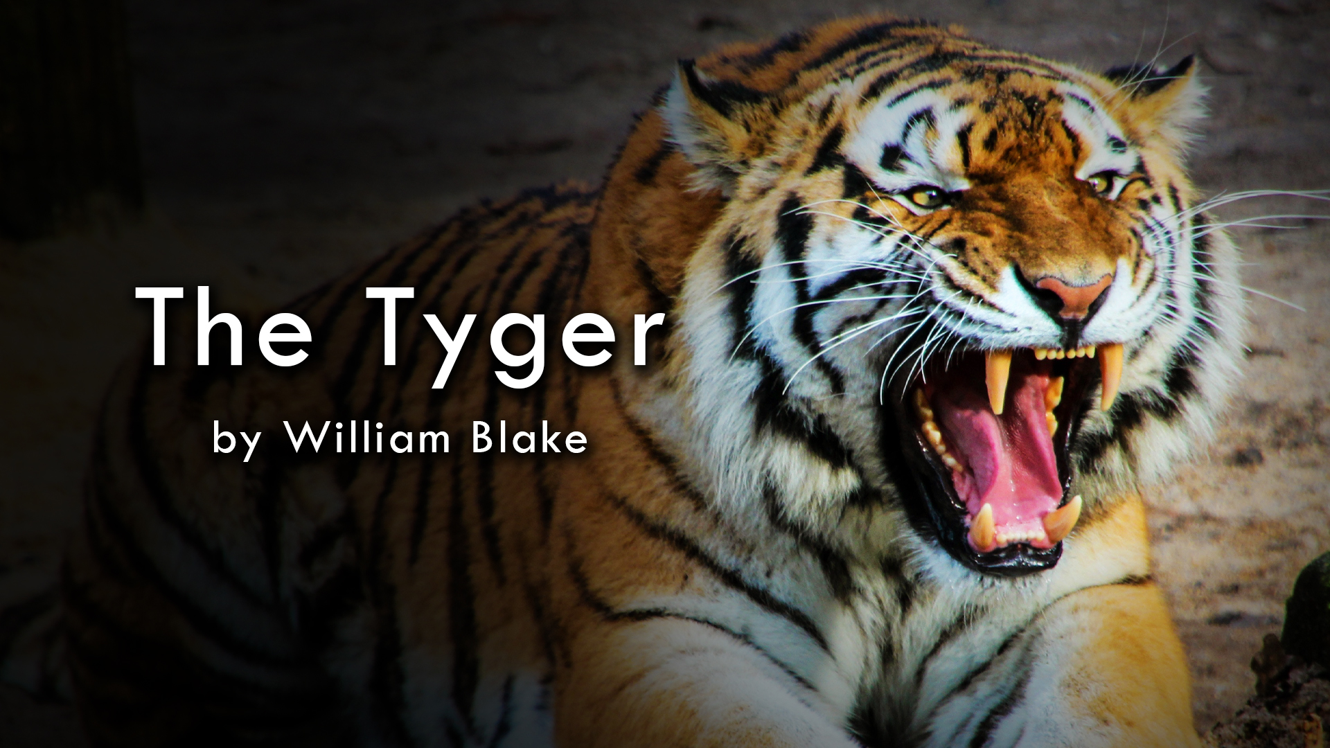 "The Tyger" by William Blake, read by Zack Lawrence